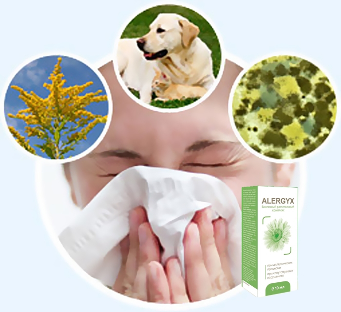 Преимущества средства Alergyx (Алергикс) от аллергии