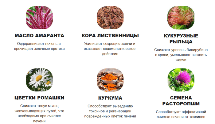 Желчегонные продукты питания. Список продуктов …