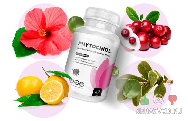 состав Phytocinol